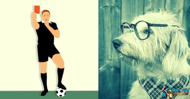 scommesse cartellini arbitro